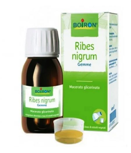 Ribes Nigrum Gemme Boiron farmaciacasci.it